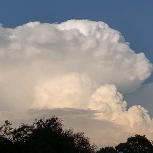 Meet your Posher, Melinda